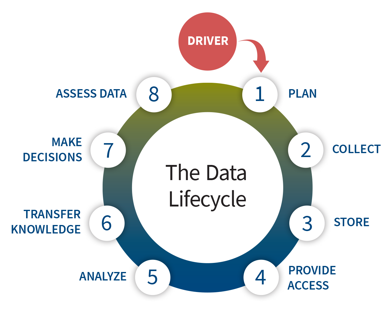 The data lifecycle consists of 8 steps (1) Plan, (2) Collect, (3) Store, (4) Provide access, (5) Analyze, (6) Knowledge transfer, (7) Make decisions, and (8) Assess data.